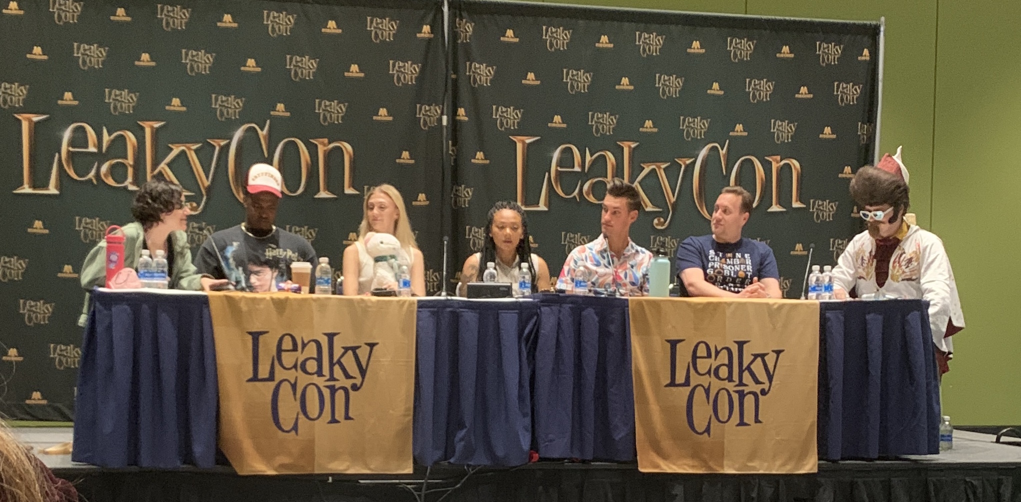 The leakycon content creators panel.
